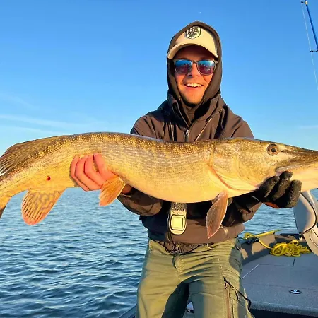 Modern In Ferienhaus *